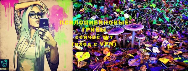 бошки Баксан