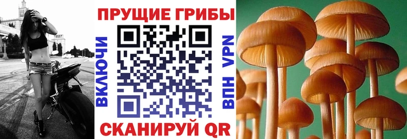Галлюциногенные грибы ЛСД  как найти наркотики  Нерюнгри 