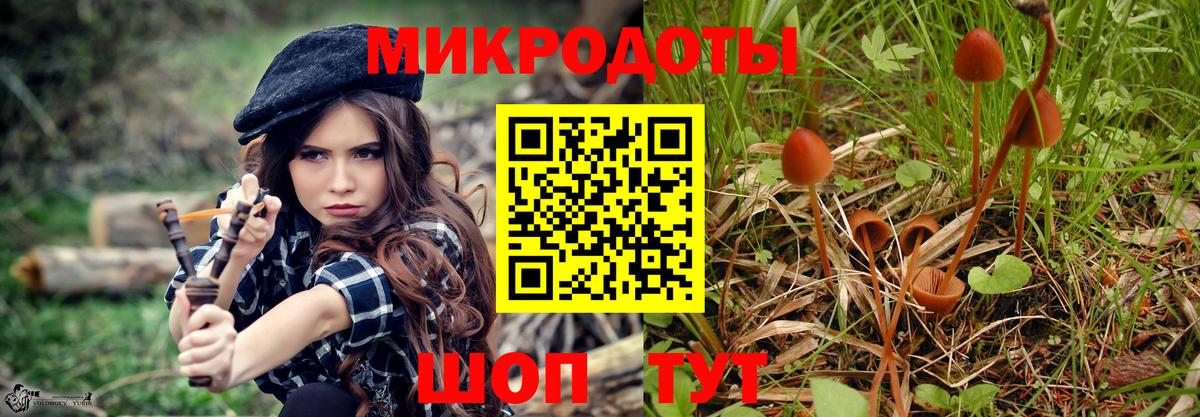 Нерюнгри  Галлюциногенные грибы GOLDEN TEACHER  Галлюциногенные грибы MAGIC MUSHROOMS  Вход с VPN 