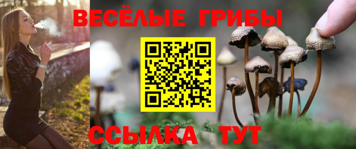 ГАШ  Вход с VPN  Нерюнгри  КОКАИН  МЕФ   МАРИХУАНА 